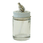VLS-1-OZ